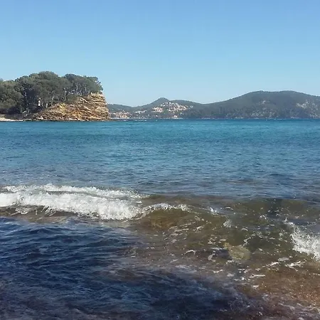 4 Pers Coeur Du Lavandou アパート ル・ラヴァンドゥー